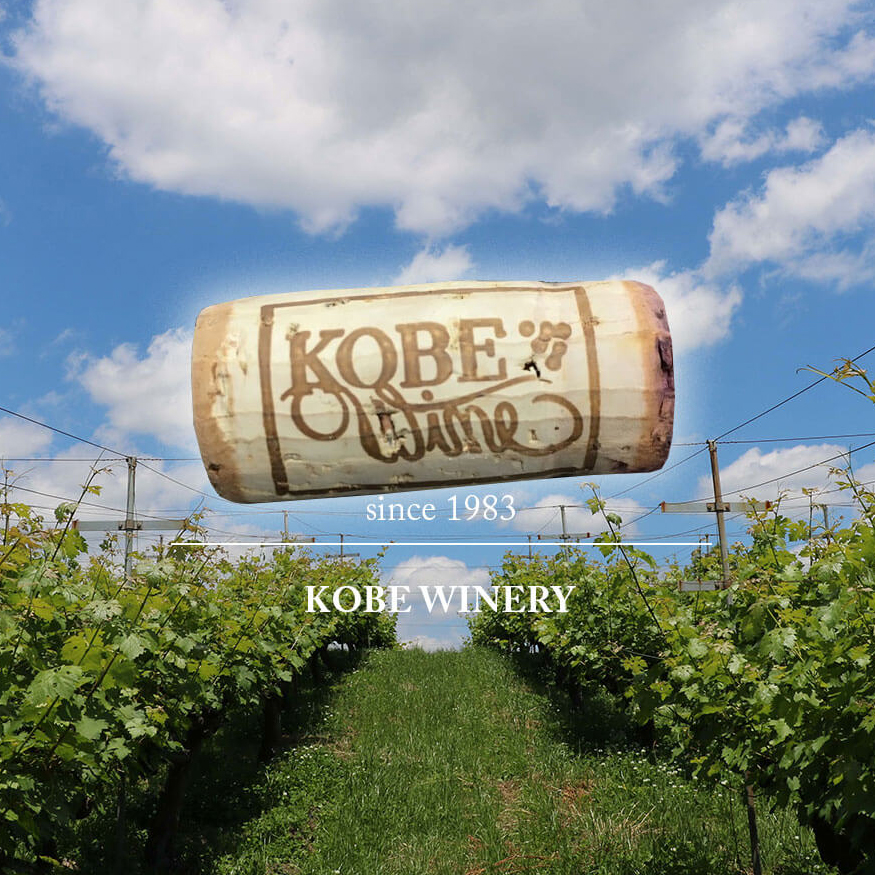 An Exquisite Marriage of Kobe Wine and Kobe Beef